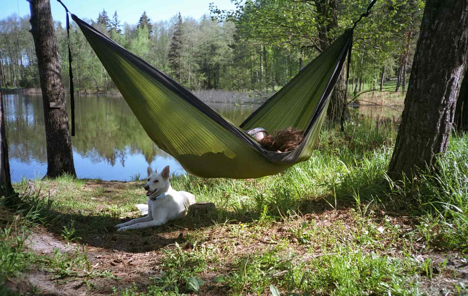 Ultralight hammock packed beside a backpack on a trail