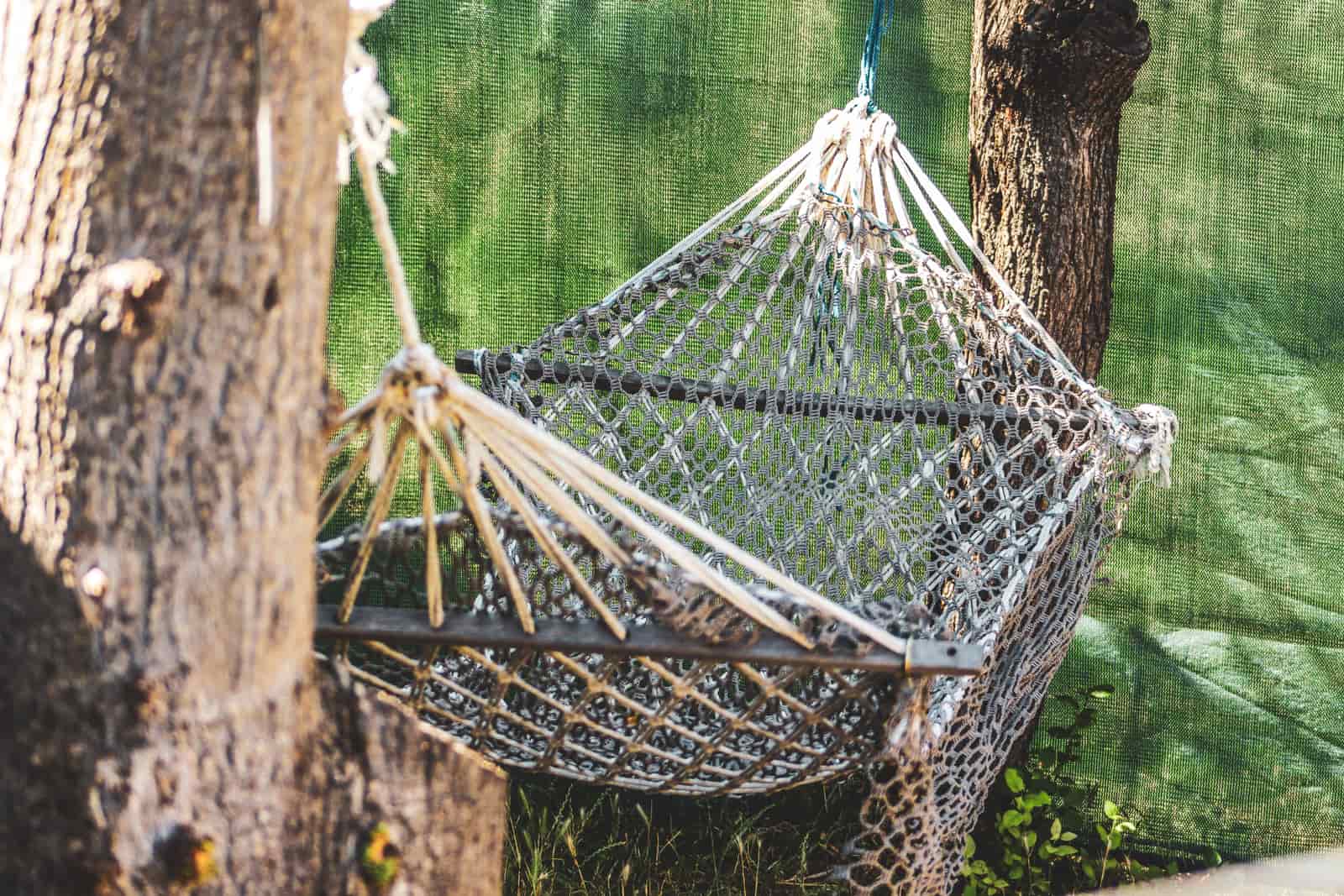 Hammock enclosed by fine mesh netting under a tarp