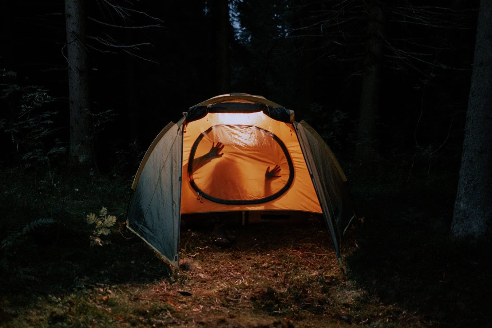 Camping cot set up inside a tent