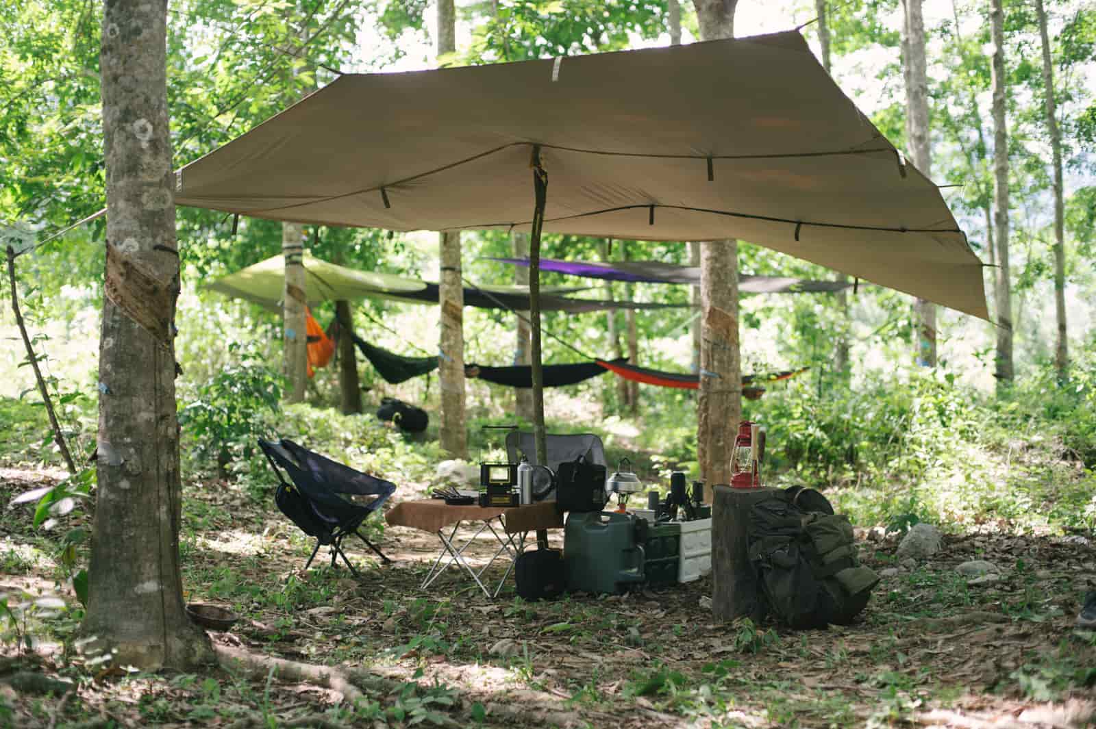 Camping hammock strung between trees at a forest campsite