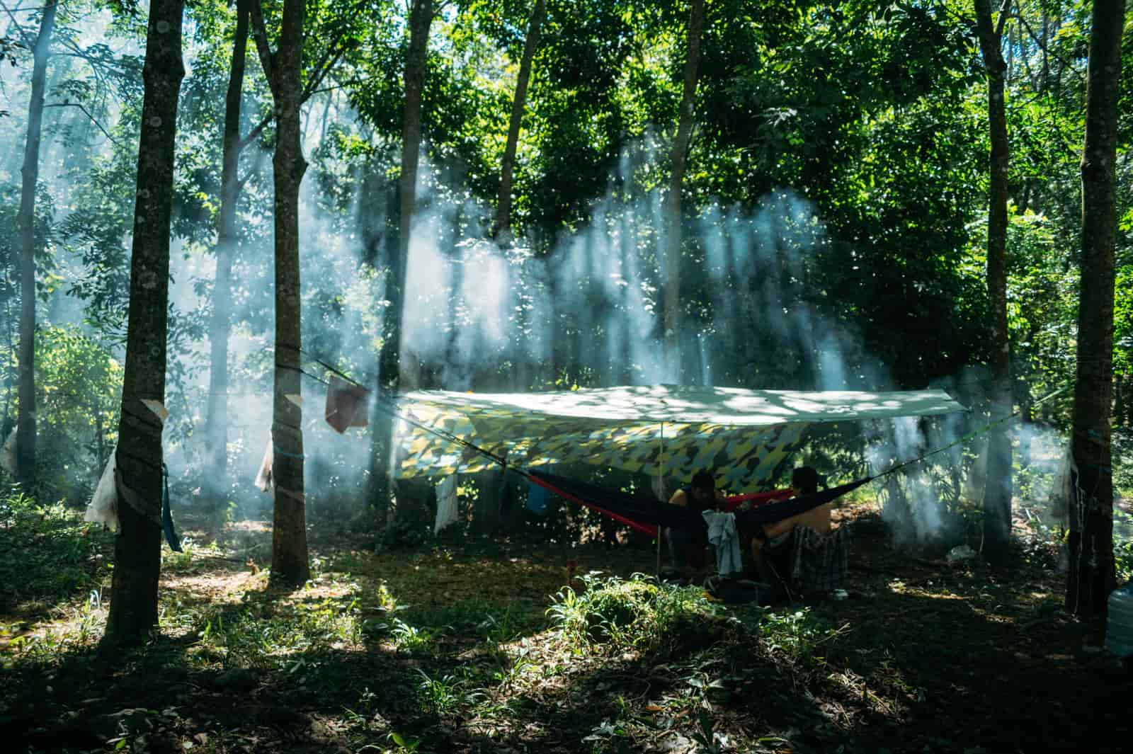 Tarp pitched over a hammock during rainfall