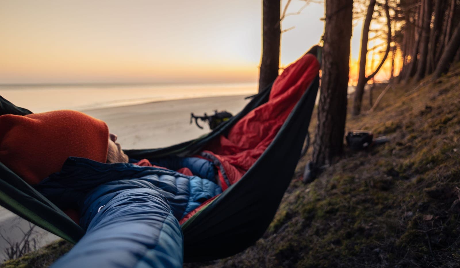 Person asleep in a hammock strung between trees