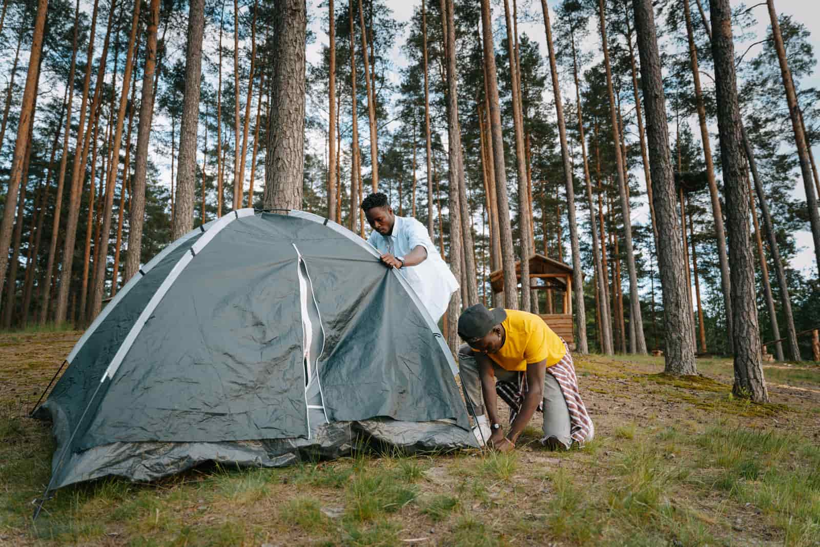 Tent pitched at a forest campsite in daylight